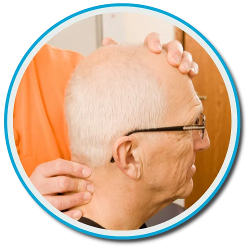 Gonstead Visualization